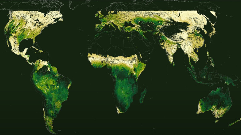 Heatmap world map image of plant growth blooms shown in highlighted regions of yellow and green