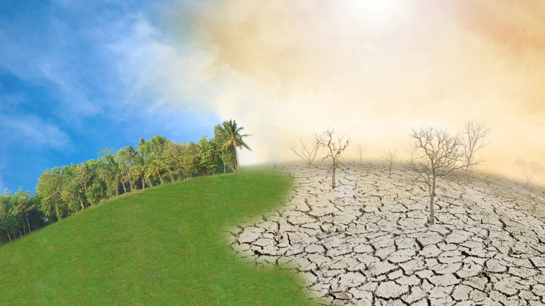 Earth concept comparing normal climate (left) and dry, hot El Niño (right)