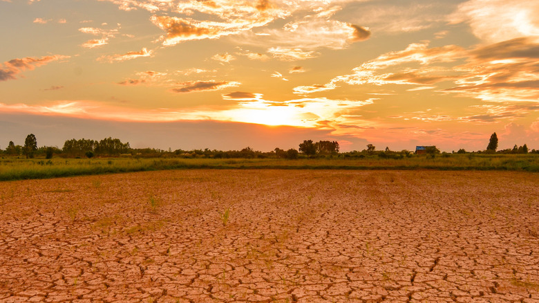 Drought landscape because of El Niño