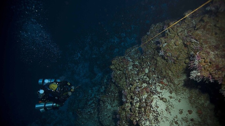Scuba diver holding onto vertical line during descent past coral reef