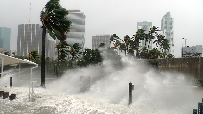 Ocean waters flood Miami, Florida during Hurricane Irma