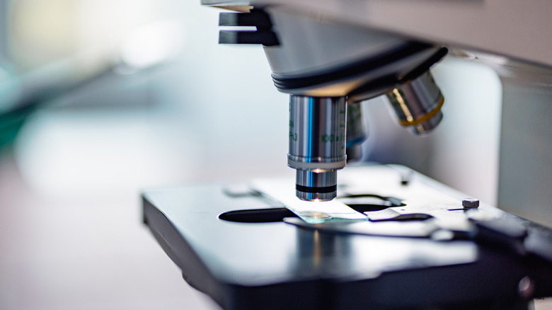 Closeup view of microscope lenses