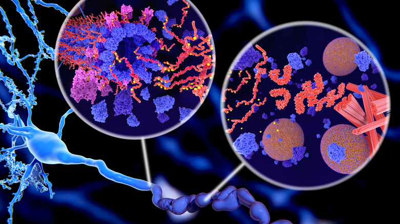 An illustration of pathological tau leading to the disintegration of microtubules and the formation of hyperphosphorylated tau aggregates.