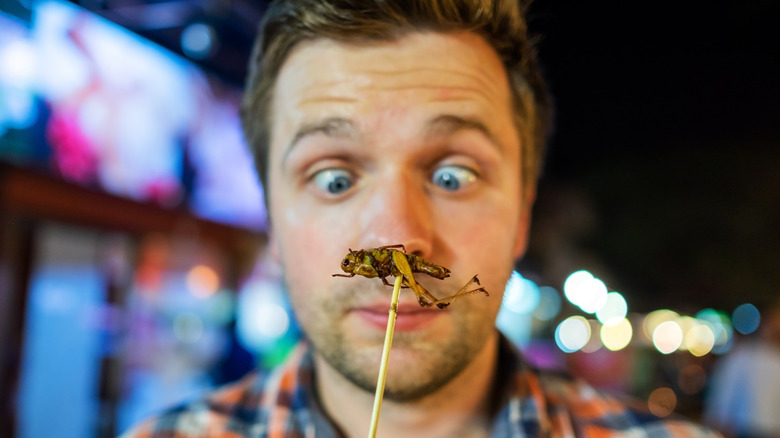 Apprehensive man looking at fried cricket on a skewer