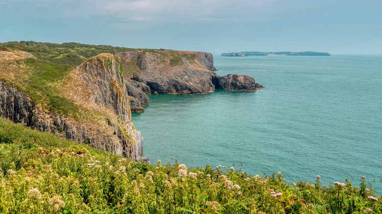 Coastal cliffs of East Yorkshire, England, UK
