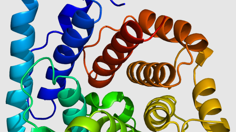 3D rendering of C3 proteins shaped like long looping curls