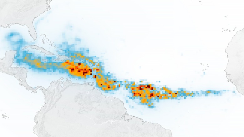 Satellite image showing the Great Atlantic Sargassum Belt