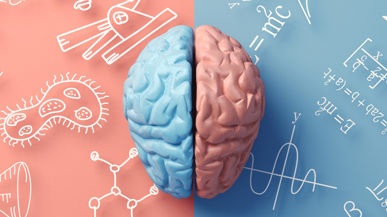 Model half-blue (left), half-pink (right) brain with a background of opposite colors and scientific equations and lab drawings all around
