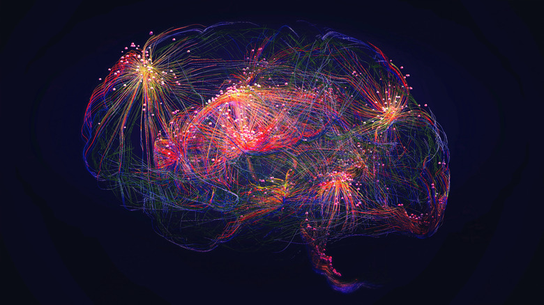 Concept of the neural network in the brain