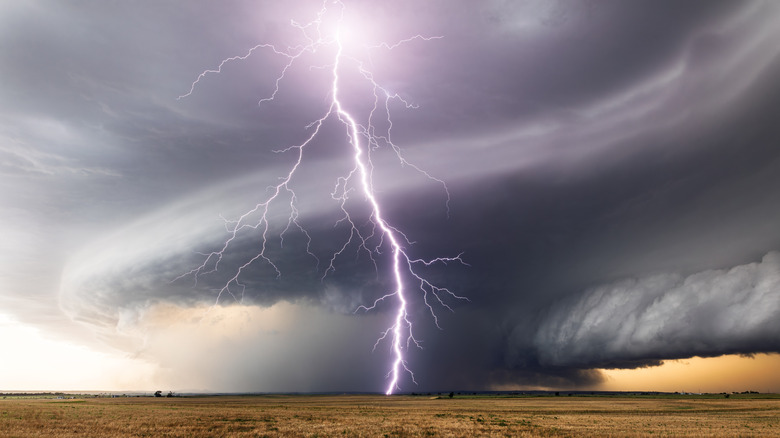 Lightning from a strong thunderstorm strikes the ground