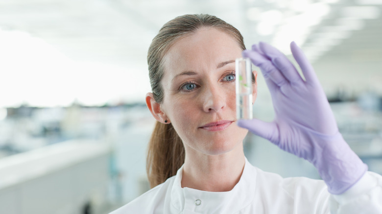 Scientist holding up a test tube containing a liquid