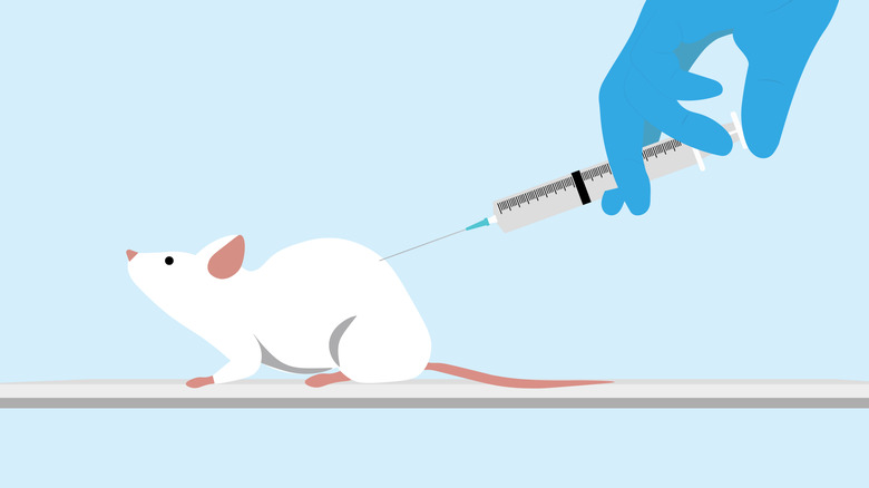 A mouse getting injected by a gloved hand