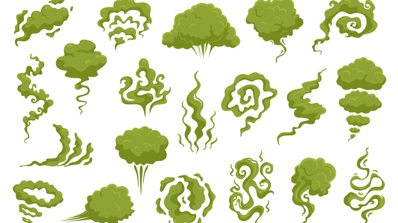 Twenty different green fart clouds on a white background
