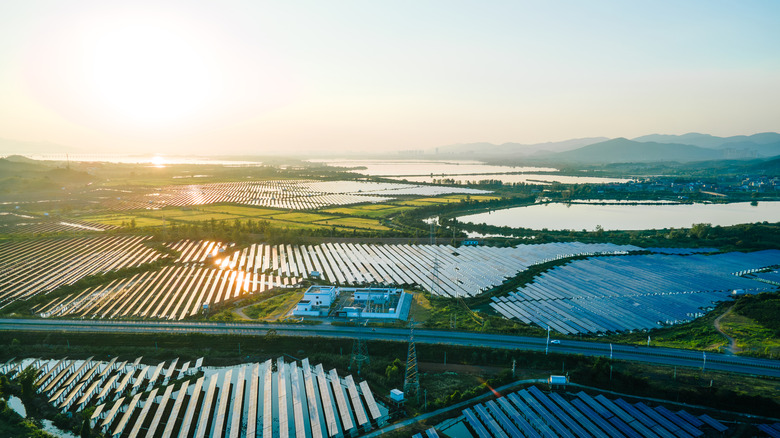 A field filled with solar panels