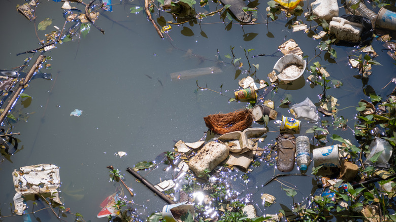 Plastic and garbage in the ocean