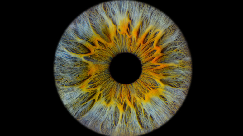 Close up of an eye over a black background.