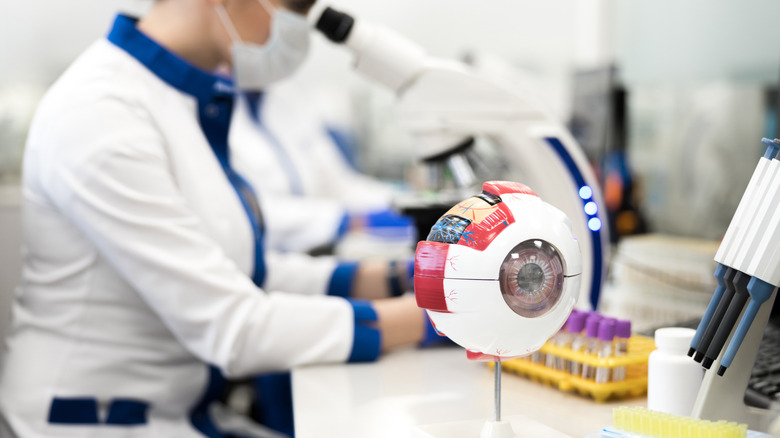 Close up of an anatomical eye model with a blurred background featuring a researcher looking into a microscope.