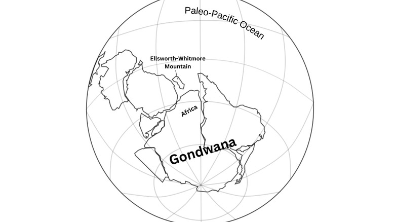 Line drawing of globe showing location of ancient supercontinent of Gondwana and the positions of Africa and South America