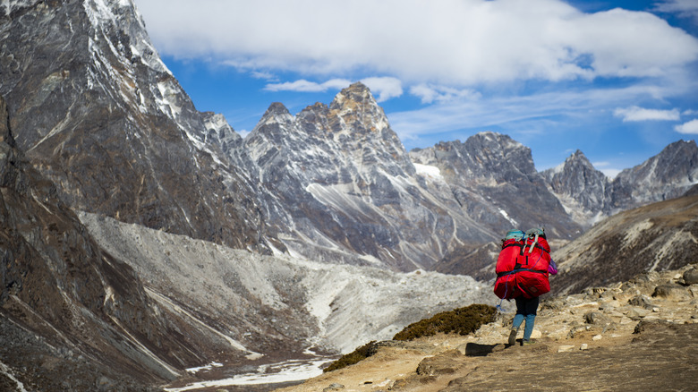 Sherpa porter carrying supplies in Nepal