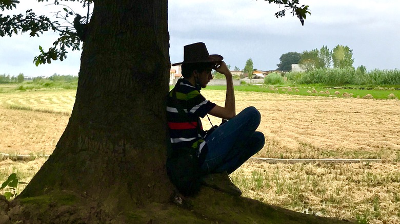 Silhouette of a person relaxing under a tree