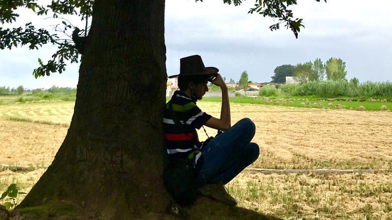Silhouette of a person relaxing under a tree