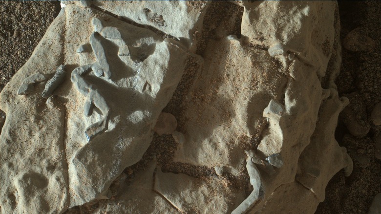 Mineral deposits on Mars that look like animal tracks