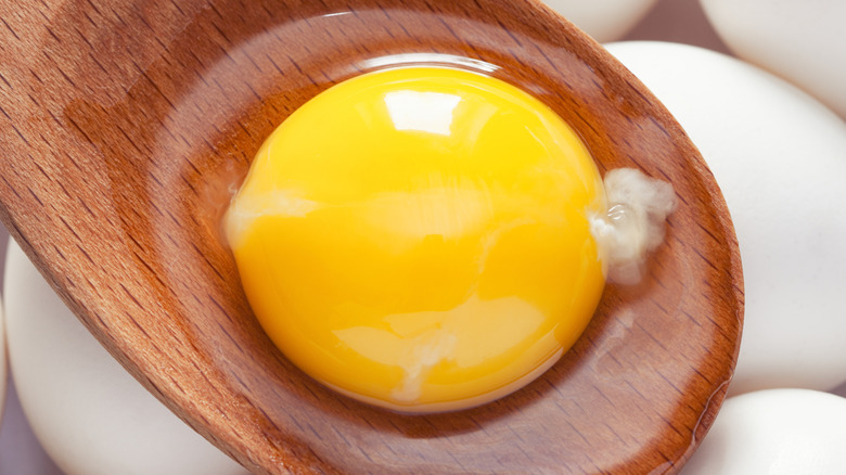 Egg yolk with the chalazae attached on a wooden spoon