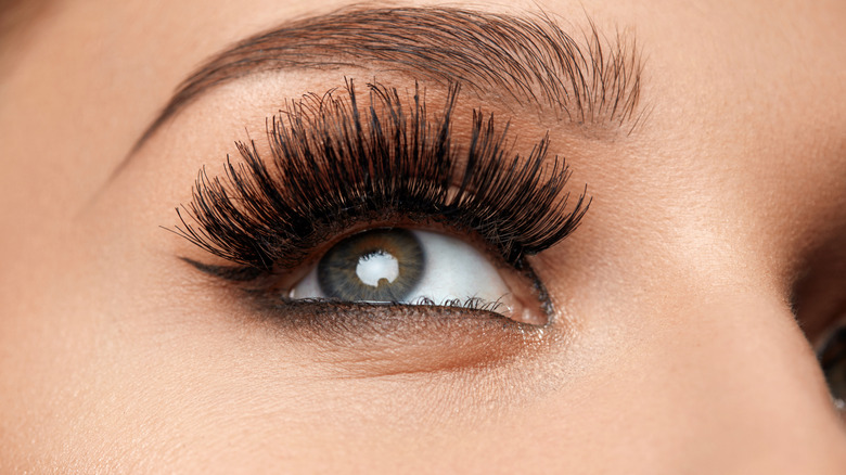 A woman's eyelashes are thick