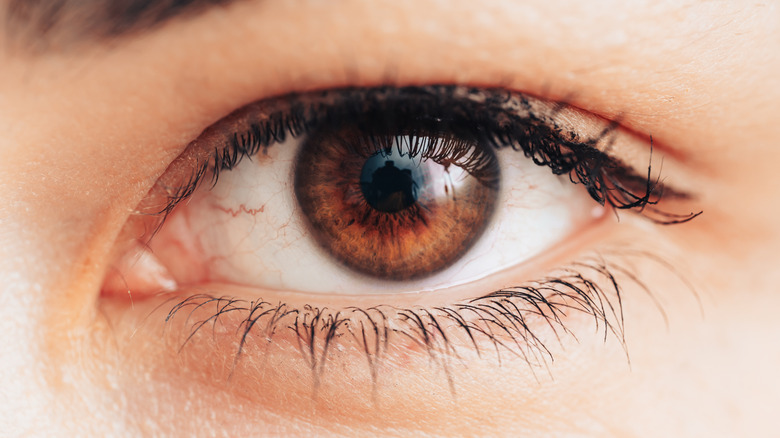 A brown eye is looking at the camera