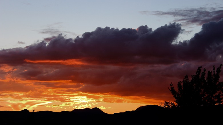 Orange Rose Pink Red Sunset in Big Bend National Park Desert Marfa West Texas