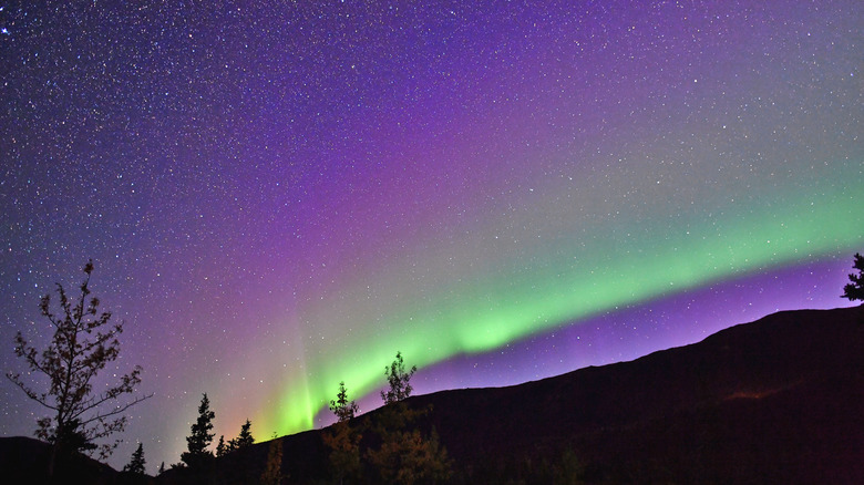 Northern lights appear in cloudless, starry night sky over Denali National Park, Alaska