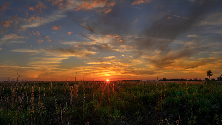 A brilliant sunset illuminates the dramatic sky at Kissimmee Prairie Preserve in Okeechobee, FL.