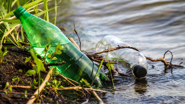 Plastic bottles along the banks of the Mississippi River