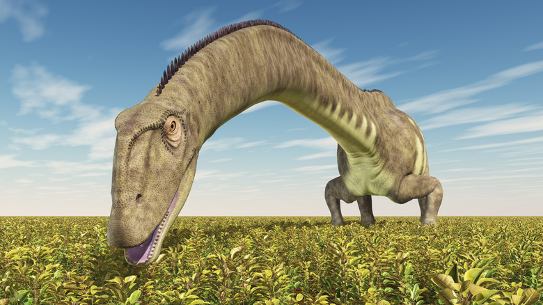 3D render of a Mamenchisauridae sauropod dinosaur, long neck eating plants