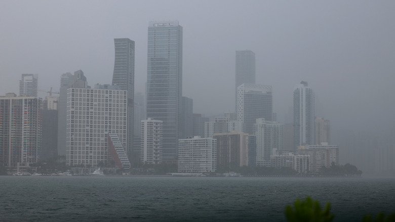 Rainy Miami skyline