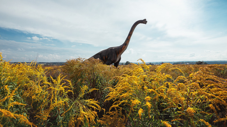 illustration of sauropod in field