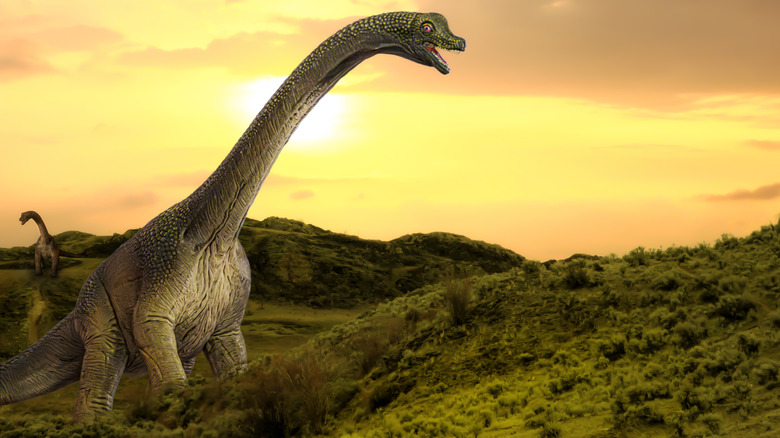 illustration of brachiosaurus