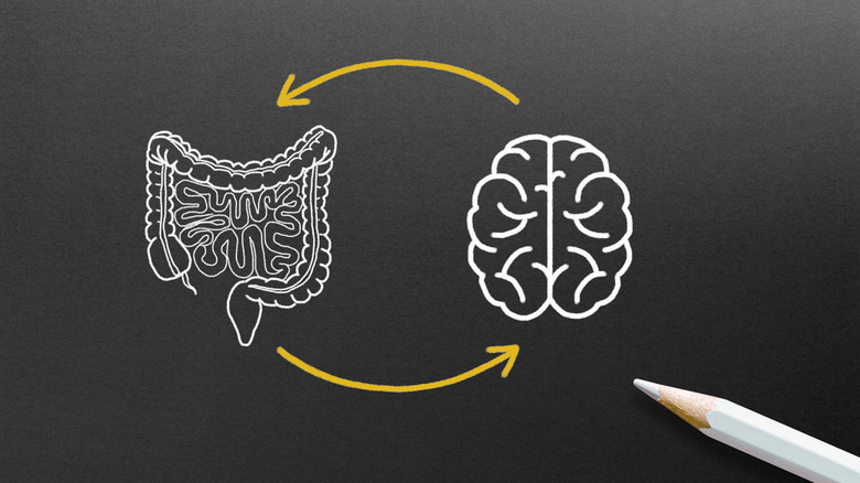 Sketch images of intestines and brain with arrows connecting them