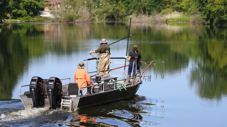 three biologists on a river boat with electric poles set for electrofishing