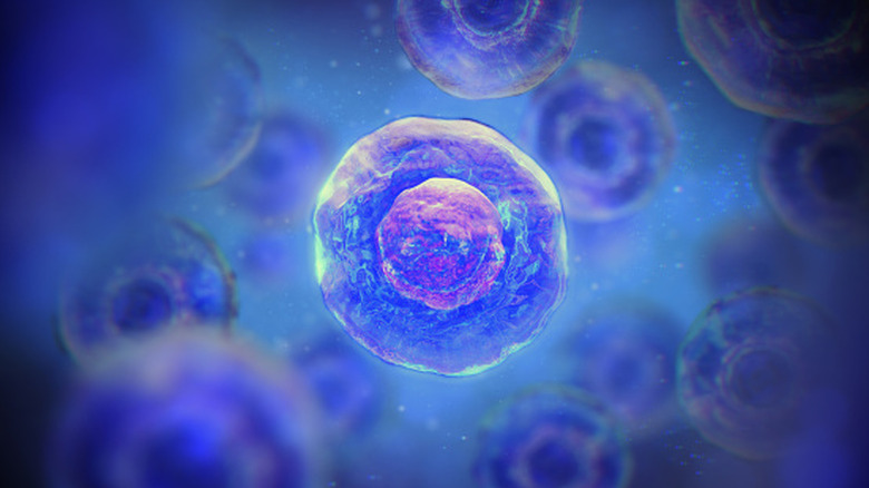 A mysterious bacteria against blue background