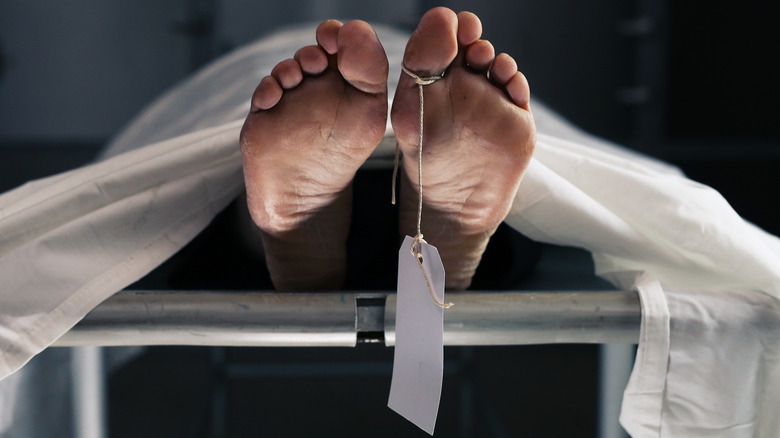 Feet with a tag emerging from a white sheet in a morgue