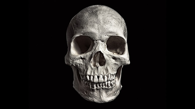 human skull on black background