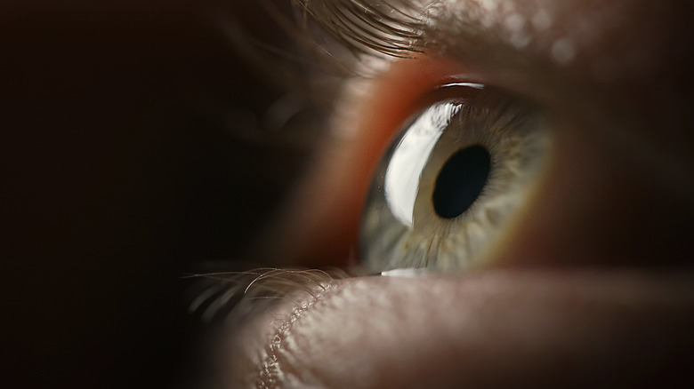 Close up of human eye