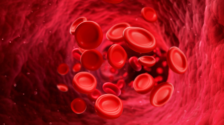 An illustration of red blood cells floating in an artery