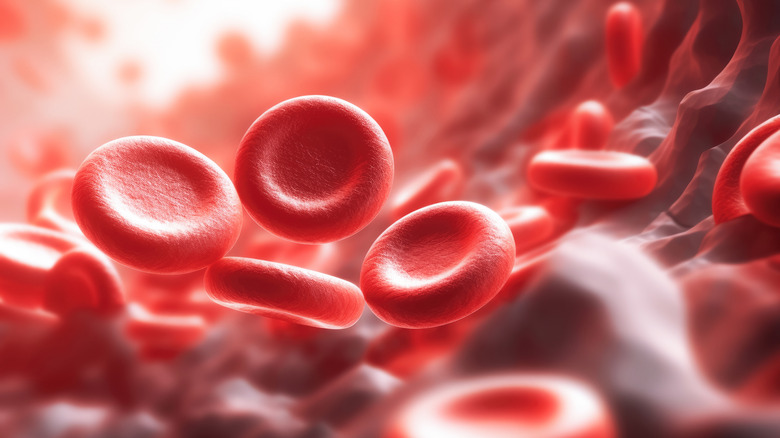Red blood cells are seen in closeup inside an artery