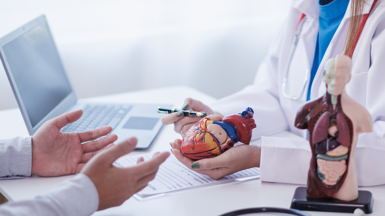 Doctor holding a model of a heart and talking with a patient