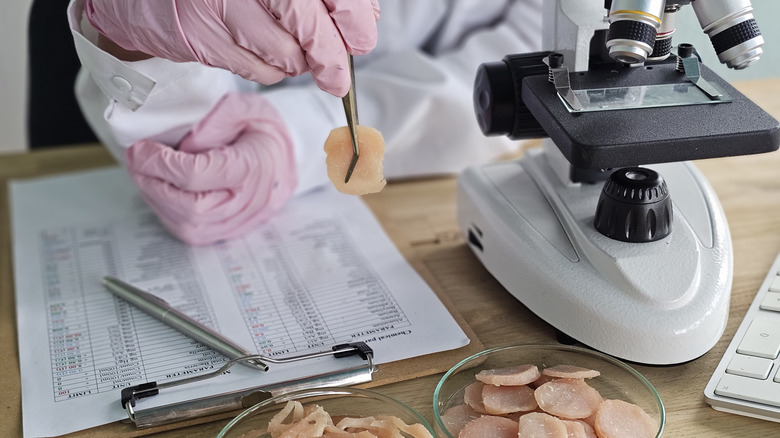 Scientist examining a marine sample