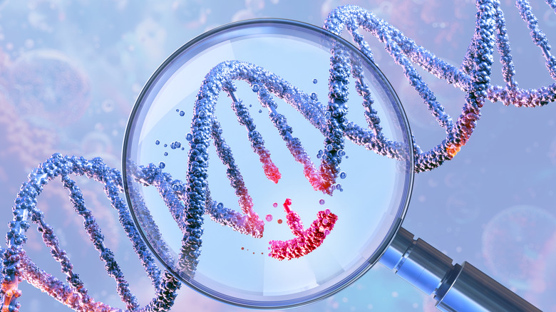 Illustration of a strand of DNA with part being investigated with a magnifying glass