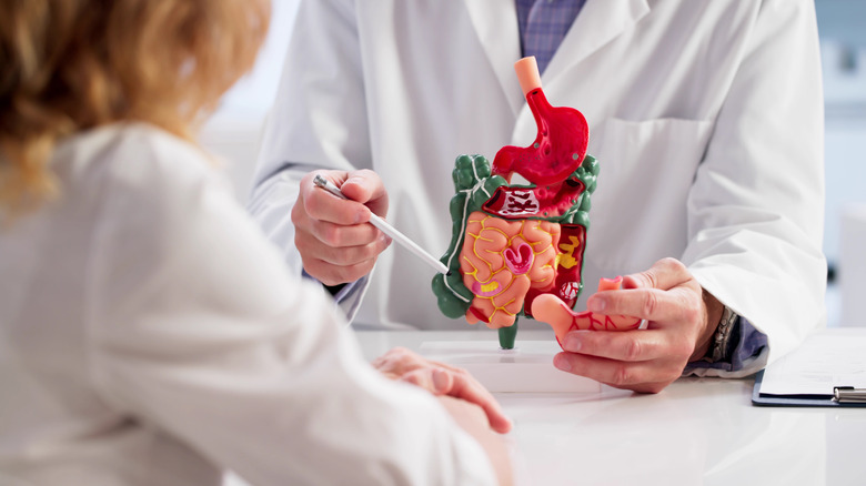 Doctor pointing to the colon on a model of the large instestine