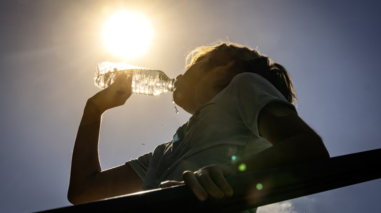drinking water on a sunny day